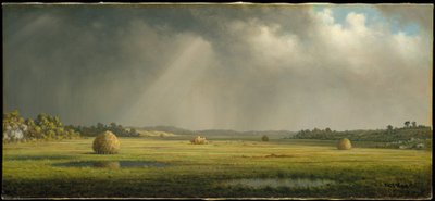  door Martin Johnson Heade