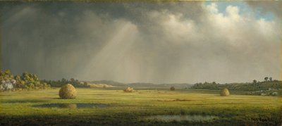 Newburyport Weiden, c.1876-81 door Martin Johnson Heade