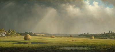 Newburyport-weiden door Martin Johnson Heade