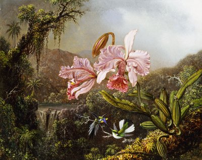 Orchideeën en kolibries in een Braziliaanse jungle door Martin Johnson Heade