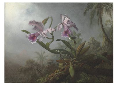 Roze orchideeën en kolibrie op een tak, 1875 door Martin Johnson Heade