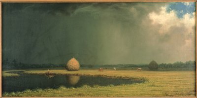 Zoutmoerashooi, ca.1865 (olieverf op doek) door Martin Johnson Heade