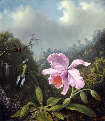 Stilleven met orchidee en paar kolibries, ca. 1890s door Martin Johnson Heade