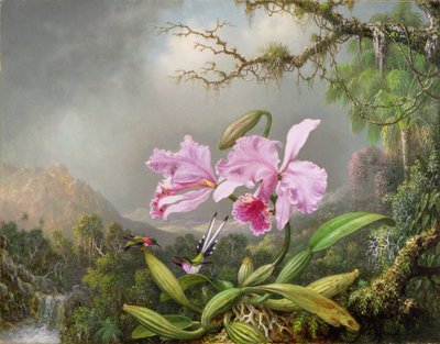 Studie van een Orchidee, 1872 door Martin Johnson Heade