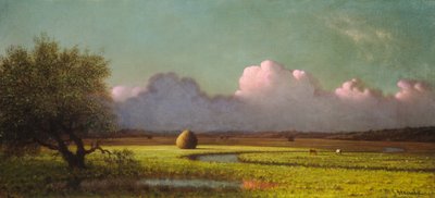 Zonlicht en schaduw: De Newbury-moerassen, ca. 1871-1875 door Martin Johnson Heade