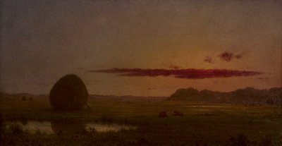  door Martin Johnson Heade