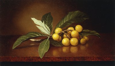 Tropische Pruimen door Martin Johnson Heade