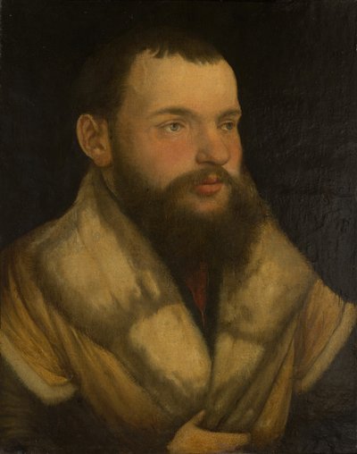 Portret van een Man, 1520-30 door Martin Schaffner