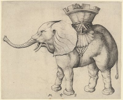 Olifant door Martin Schongauer