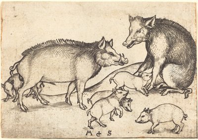 Familie van varkens door Martin Schongauer