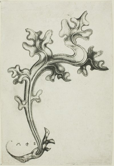 Blad ornament door Martin Schongauer