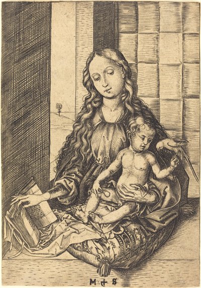 Madonna met een papegaai door Martin Schongauer