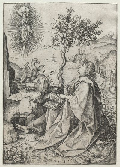 Sint Johannes de Evangelist op het Eiland Patmos door Martin Schongauer