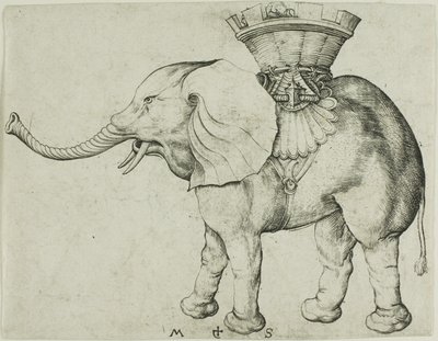 De olifant door Martin Schongauer