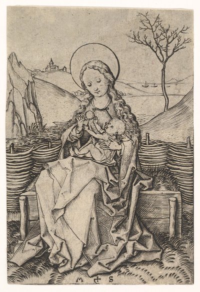 Maagd en kind op een grasbank door Martin Schongauer