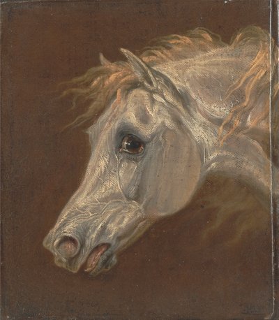 Hoofd van een grijze Arabische hengst door Martin Theodore Ward
