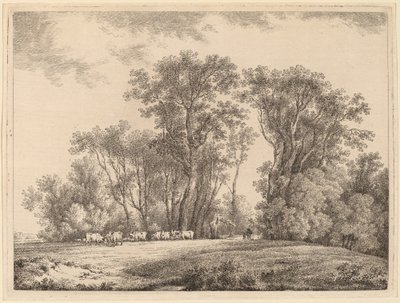 Een weide met vee aan de rand van een bos door Martin von Molitor