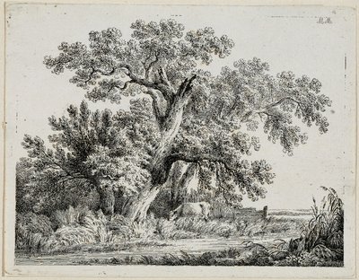 Landschap door Martin von Molitor