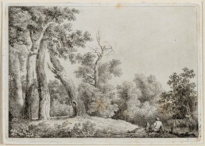 Landschap door Martin von Molitor