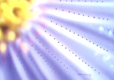Blauwe Bloem door Martina Konitzky