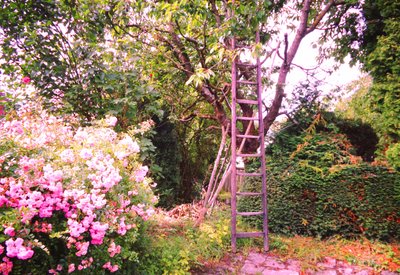 De Ladder aan de Kersenboom door Martina Konitzky