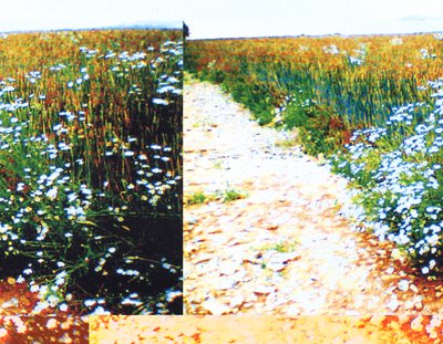 Landweg door Martina Konitzky