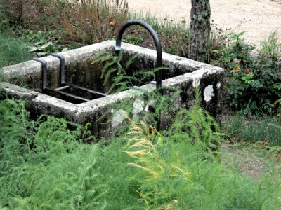 In de Tuin door Martina Konitzky