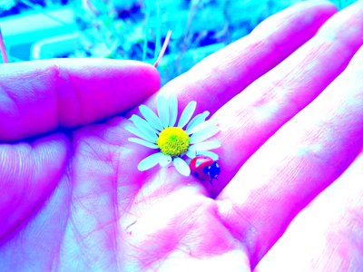 Liefde door Martina Konitzky