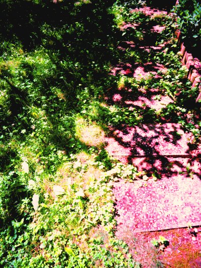 Prins en Prinses of Gras en Tuinpad door Martina Konitzky
