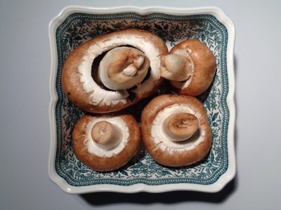 Villeroy en Boch porselein met paddenstoelen door Martina Konitzky