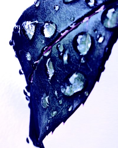 Blauwe Waterdruppels door Martina Konitzky