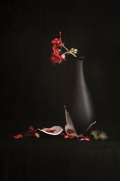  door Martine Benezech
