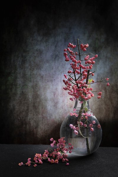  door Martine Benezech
