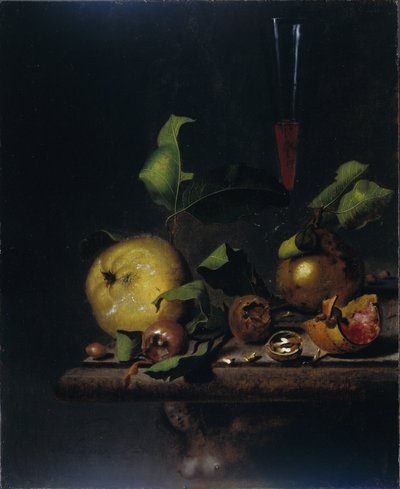 Stilleven met Kweeperen, Mispels en een Glas door Martinus Nellius