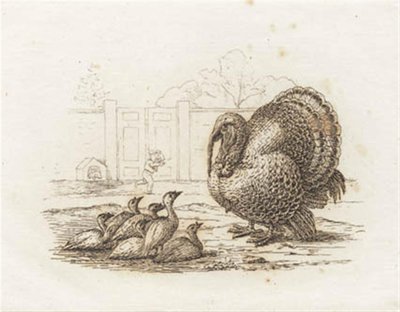 Illustratie voor "Halvhundrede Fabler for Børn" van Hey door Martinus Rørbye