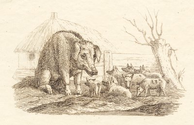 Illustratie voor "Halvhundrede Fabler voor Kinderen" van Hey door Martinus Rørbye