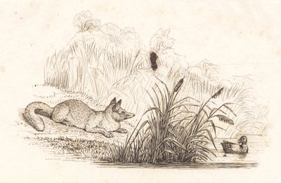 Illustratie bij "Halvhundrede Fabler for Børn" van Hey door Martinus Rørbye