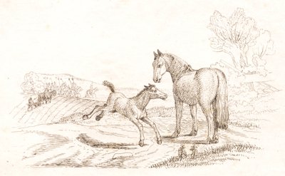 Illustratie voor 