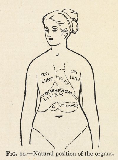 Natuurlijke positie van de organen door Mary Eliza Haweis