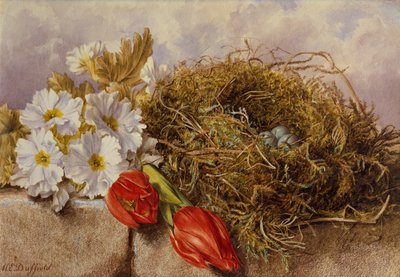 Een Stilleven van Bloeiende Tulpen en een Vogelnest op een Richel door Mary Elizabeth Duffield