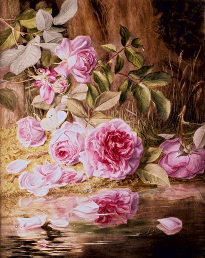 Blairie Rozen door Mary Elizabeth Duffield