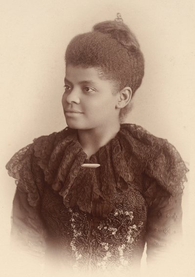 Ida B. Wells-Barnett door Mary Garrity