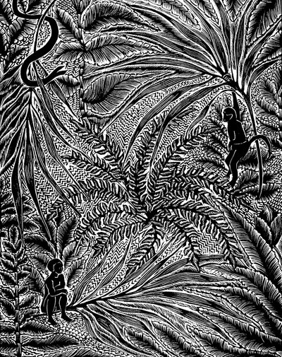 Jungle door Mary Kuper