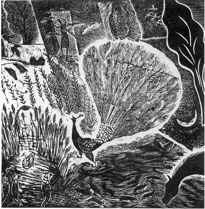 Tekenen van een naderende storm, 2004 door Mary Kuper