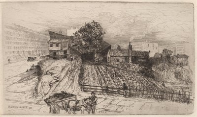 Een stadsboerderij—New York door Mary Nimmo Moran