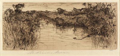 Weiland door Mary Nimmo Moran