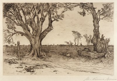 Oude linden - Nabij Easthampton door Mary Nimmo Moran