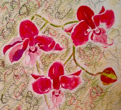 Orchideeën door Mary Smith