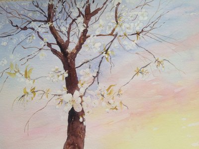witte kersenbloesem door Mary Smith