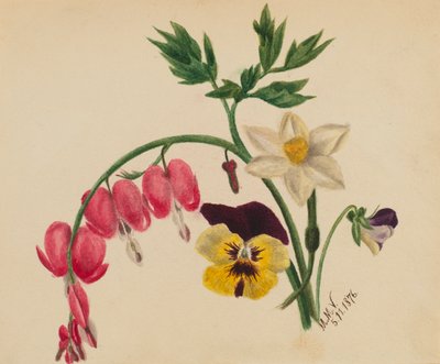 (Zonder titel - Gemengde bloemen) door Mary Vaux Walcott